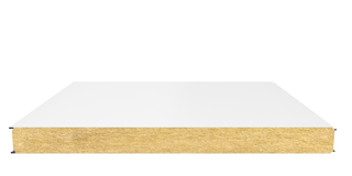 Стеновая сэндвич-панель (минеральная вата) 100 мм х 1000 мм (Гладкая)